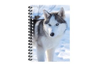 Obrázek z Notes 3D 9,3x13,5cm - husky (12) 